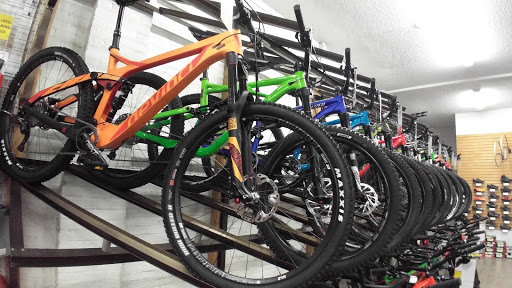 Turin Bicycles Ltd