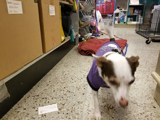 Pet Supply Store «Pet Partners», reviews and photos, 1962 W State St, Bristol, TN 37620, USA