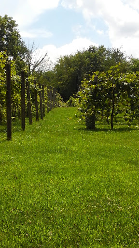 Winery «Three Oaks Vineyard LLC», reviews and photos, 1591 Crosley Rd, Granville, OH 43023, USA