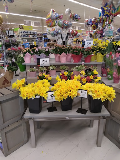 Grocery Store «Giant Food Stores», reviews and photos, 993 Wayne Ave, Chambersburg, PA 17201, USA