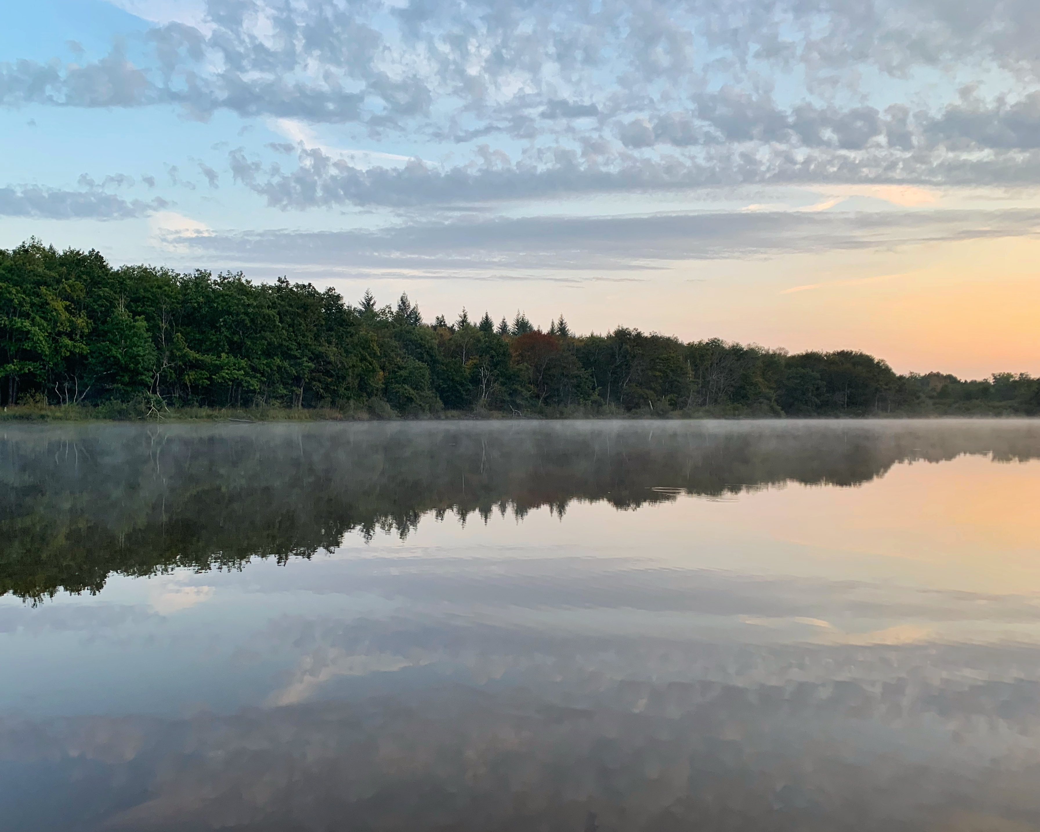 Photo n° 2 de l'avis de Niels.o fait le 24/09/2020 à 05:53