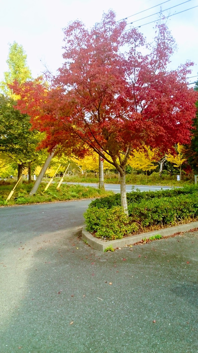 松原自然公園