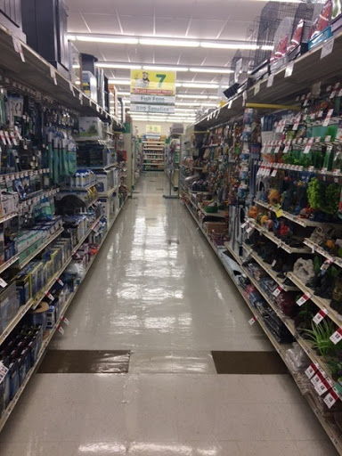 Pet Supply Store «Pet Supplies Plus», reviews and photos, 500 S St W, Raynham, MA 02767, USA