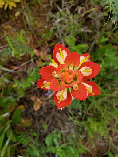 Animal Feed Store «Russell Feed & Supply», reviews and photos, 1312 NW Pkwy St, Azle, TX 76020, USA