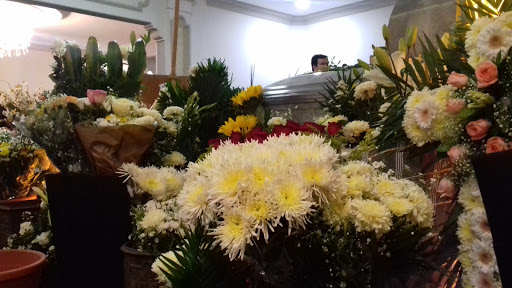 Funeraria Del Angel Group, Crematorium and Garden en Heroica Veracruz