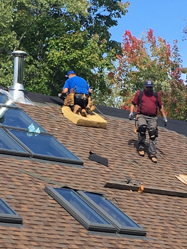 Roofing Contractor «Showalter Roofing Services», reviews and photos, 25W048 Ramm Dr, Naperville, IL 60564, USA