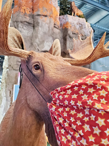 Aquarium «Great Lakes Aquarium», reviews and photos, 353 Harbor Dr, Duluth, MN 55802, USA