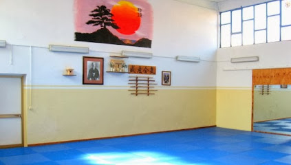 Taekwondo Tricolore - Via Cristoforo Monari, 21, 42122 Reggio Emilia RE, Italy