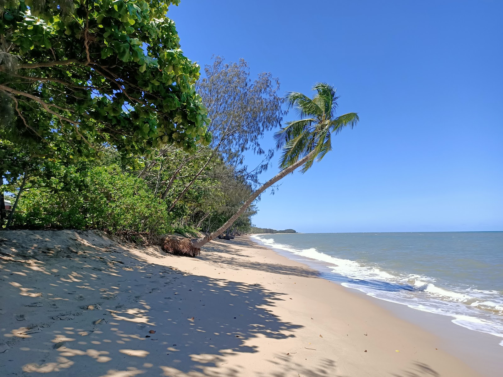 Foto di Holloways Beach - luogo popolare tra gli intenditori del relax