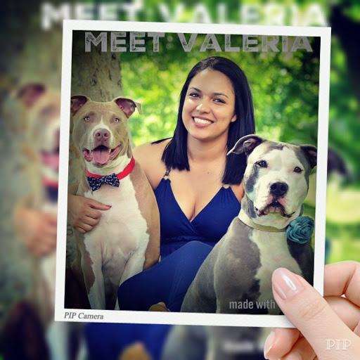 Pet Groomer «Spoiled Petz Pet Store and Grooming», reviews and photos, 12030 Donner Pass Rd #1, Truckee, CA 96161, USA