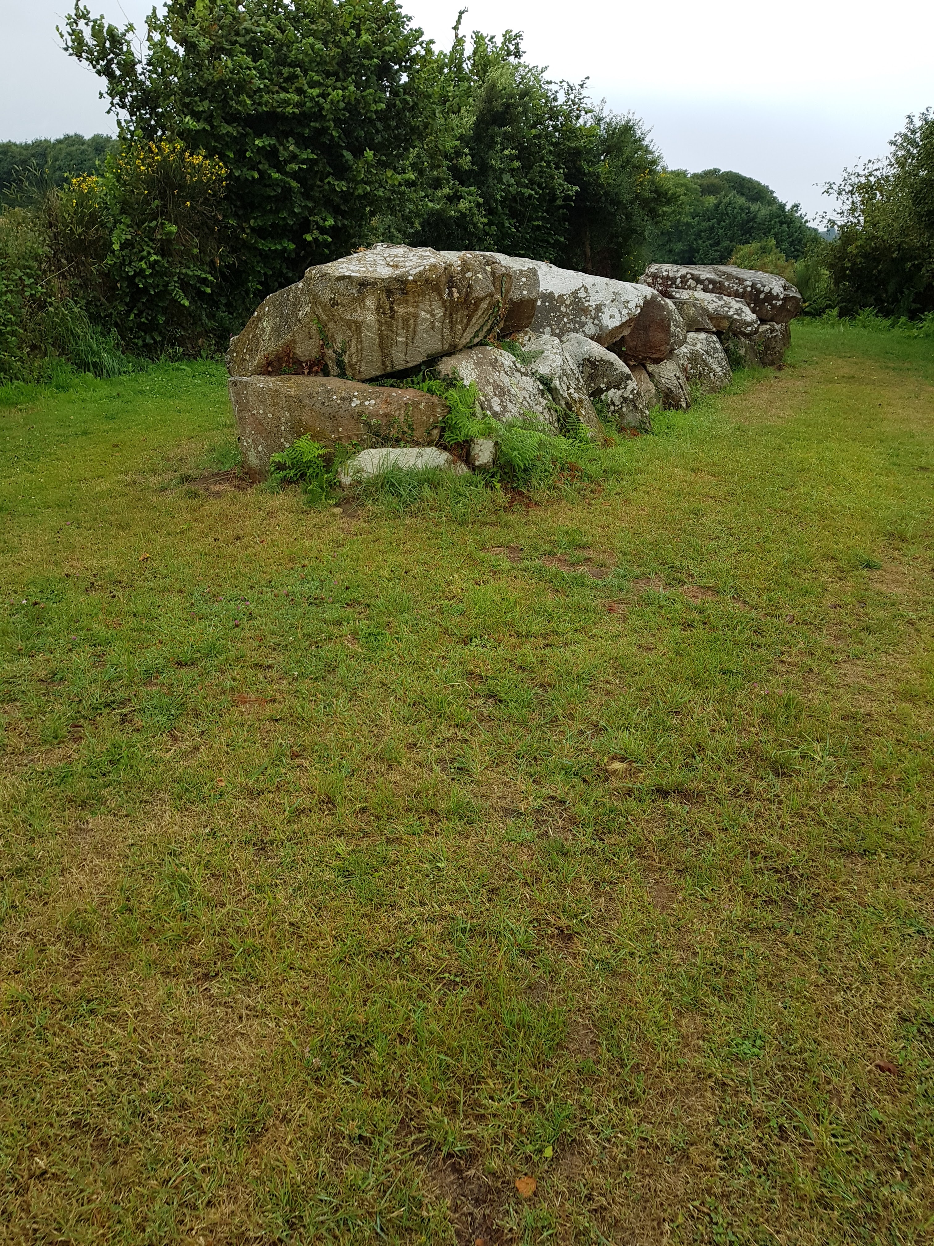 Photo n° 42 de l'avis de romain.a fait le 14/08/2018 à 21:18