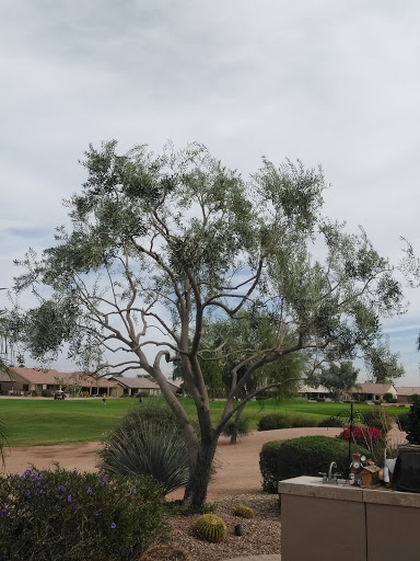 Golf Club «Tuscany Falls Golf Course», reviews and photos, 16262 Clubhouse Dr, Goodyear, AZ 85395, USA