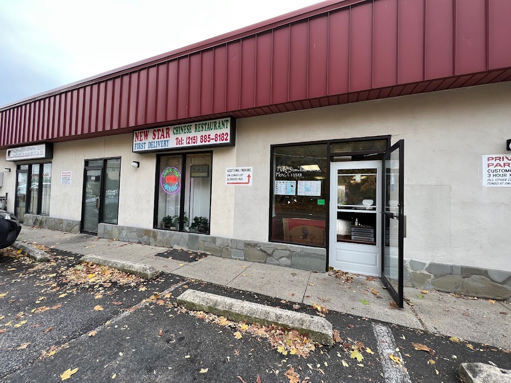 New star Chinese Restaurant 19095