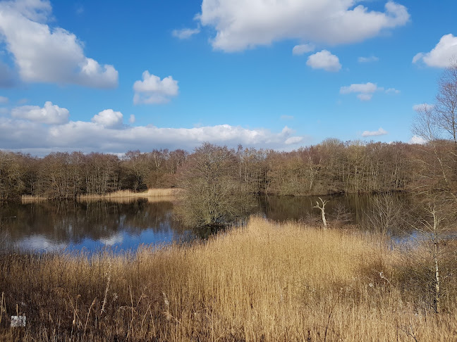 Reviews of Moore Nature Reserve in Warrington - Other