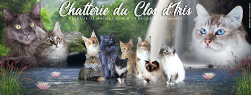 Magasin d'articles pour animaux CHATTERIE DU CLOS D'IRIS Herrlisheim-prés-Colmar