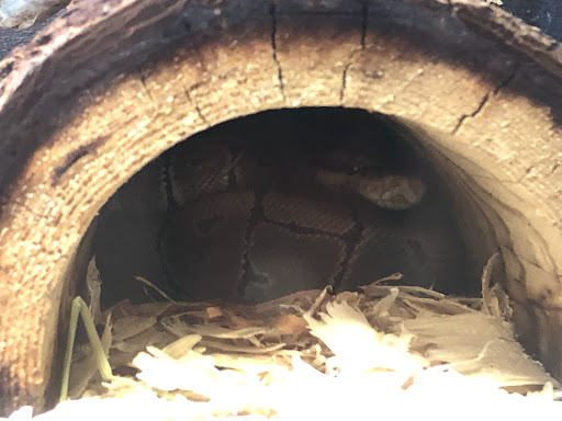 Pet Supply Store «PetSmart», reviews and photos, 4180 US-1, Monmouth Junction, NJ 08852, USA