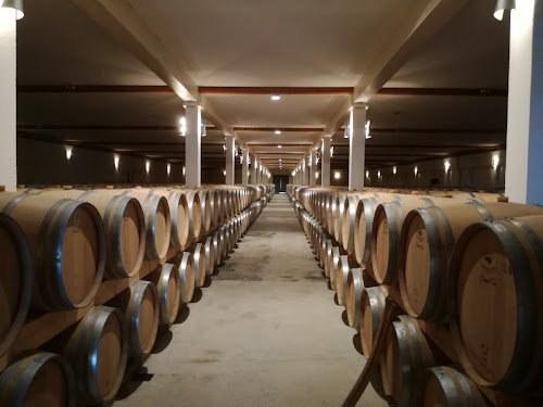 Vignobles de Larose à Saint-Laurent-Médoc