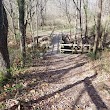 Buffalo Lake Walking Trail