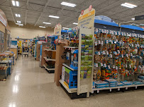 PetSmart - Photo 3 - Car repair in East Peoria, IL, Peoria