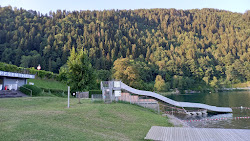 Strandbad Pesenthein'in fotoğrafı vahşi alan