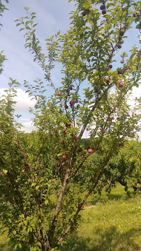 Peterson Home Improvement - Photo 3 - Car repair in Highland, NY, Poughkeepsie