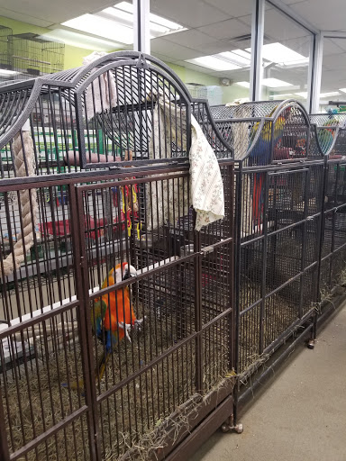 Pet Store «Parrots Of The World Aquarium and Pet Center», reviews and photos, 316 Sunrise Hwy #1, Rockville Centre, NY 11570, USA