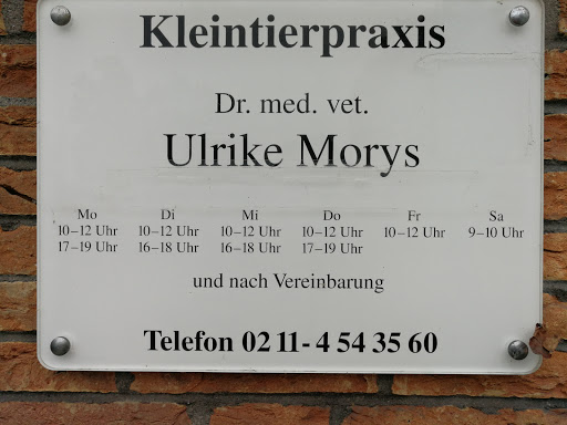 Dr.med.vet. Ulrike Morys vet
