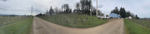 Winery «Redhawk Vineyard & Winery», reviews and photos, 2995 Michigan City Ln NW, Salem, OR 97304, USA