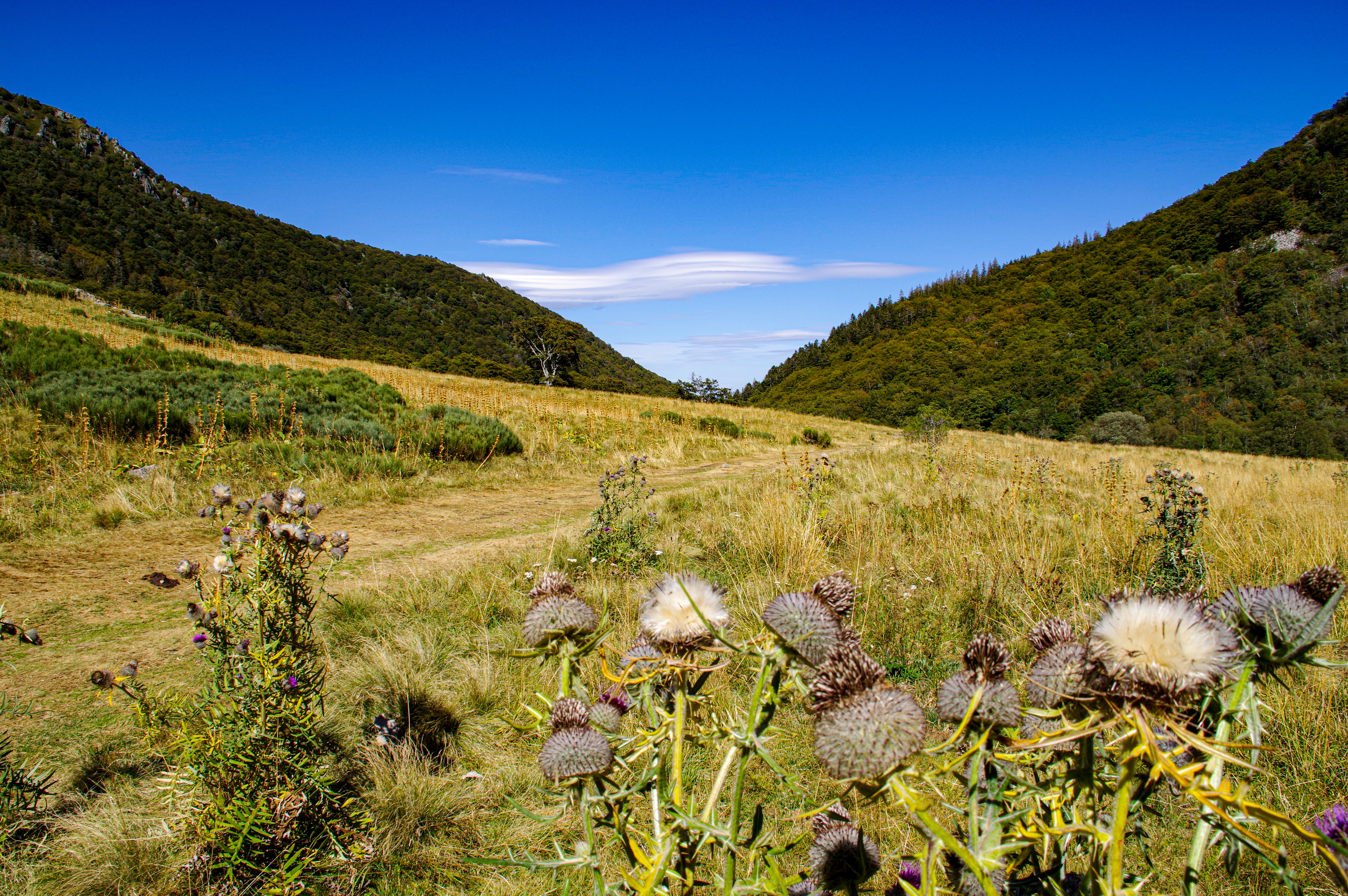 Photo n° 6 de l'avis de Philippe.e fait le 25/08/2020 à 18:45