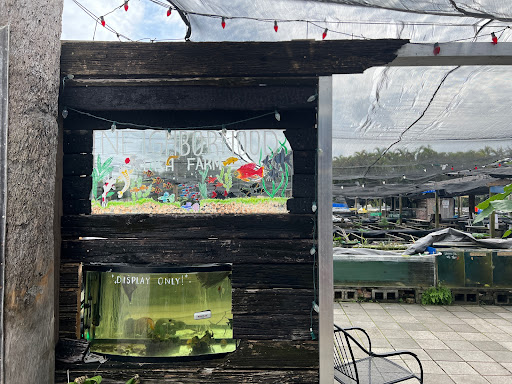 Tropical Fish Store «Neighborhood Fish Farm», reviews and photos, 12150 SW 45th St, Miami, FL 33175, USA