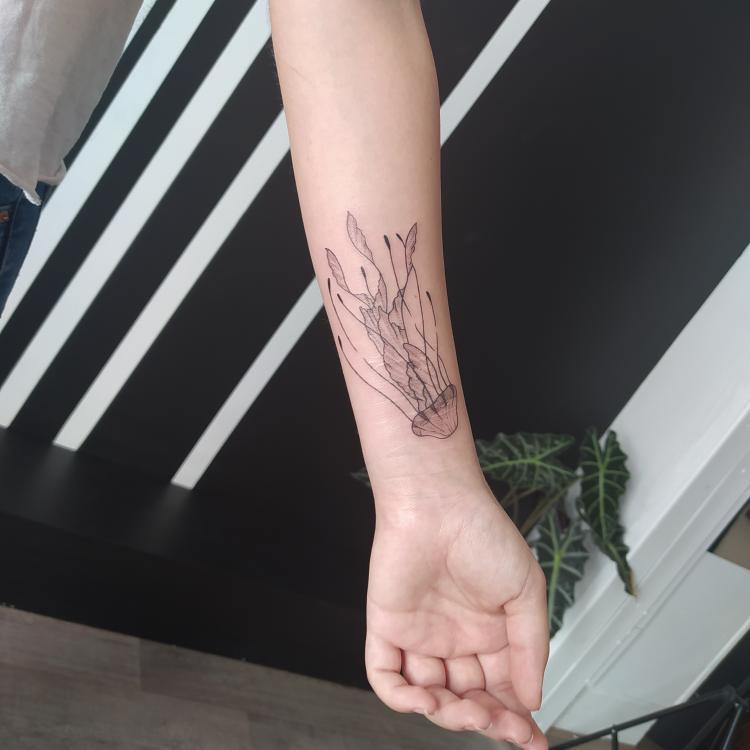 Photo n° 1 de l'avis de Manon.o fait le 20/09/2020 à 14:58