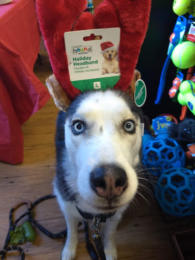 Pet Supply Store «EarthWise Pet Supply - Richardson», reviews and photos, 1310 W Campbell Rd #128, Richardson, TX 75080, USA