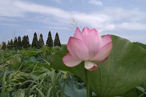 Chirikudoi Park image