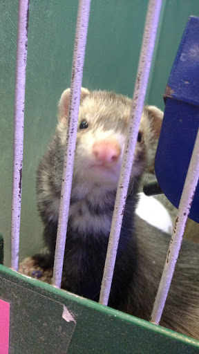 Pet Supply Store «Atlas Pet Supply», reviews and photos, 1798 Market Dr, Stillwater, MN 55082, USA