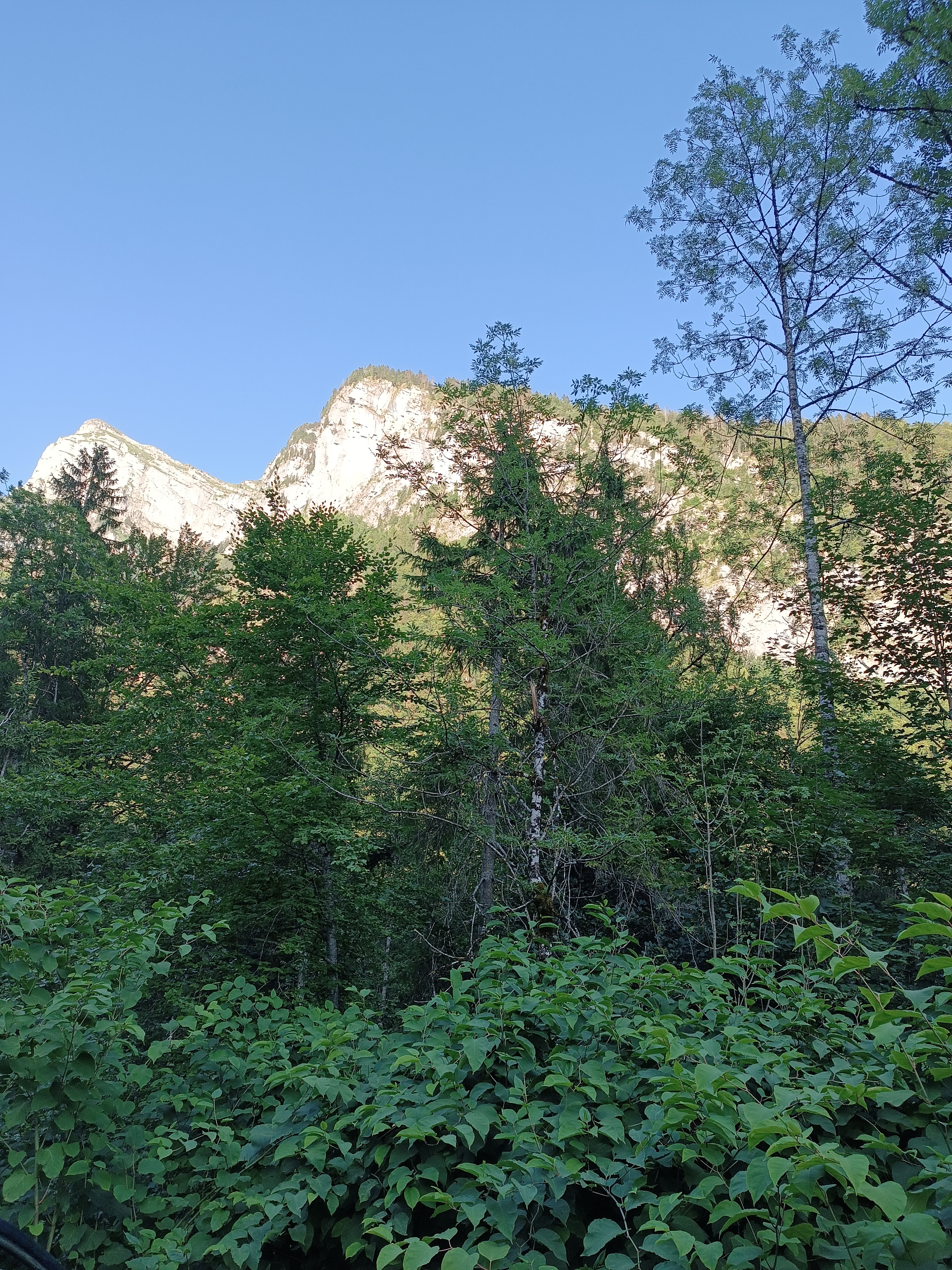 Photo n° 4 de l'avis de Francoise.e fait le 14/07/2023 à 17:31