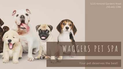 Waggers Pet Spa