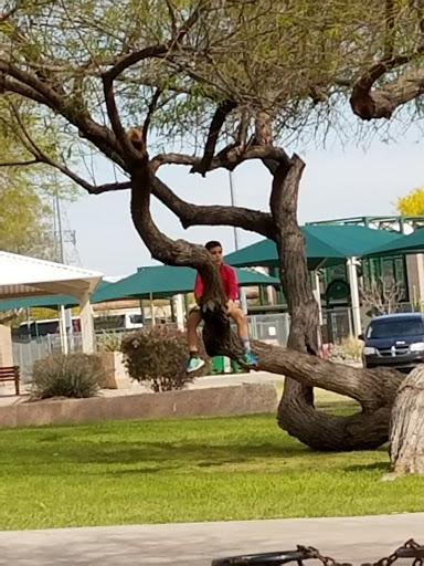 Shopping Mall «Ancala Village Shopping Center», reviews and photos, 11250 E Vía Linda, Scottsdale, AZ 85259, USA