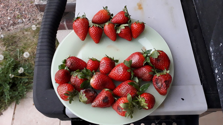 Photo n° 1 de l'avis de didier.o fait le 07/05/2020 à 13:44