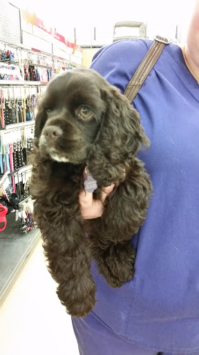 Pet Supply Store «Petco Animal Supplies», reviews and photos, 5631 Grove Blvd, Hoover, AL 35226, USA