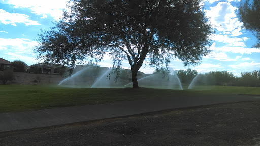 Home Builder «Sun City Anthem at Merrill Ranch by Del Webb», reviews and photos