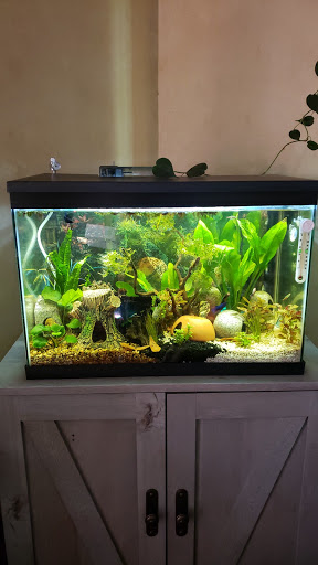 Pet Store «Fish 4 U», reviews and photos, 4010 Highland Dr #1, Millcreek, UT 84124, USA