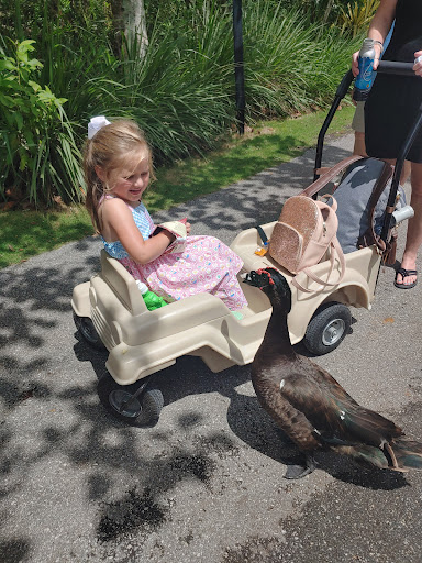 Zoo «Naples Zoo at Caribbean Gardens», reviews and photos, 1590 Goodlette-Frank Rd, Naples, FL 34102, USA