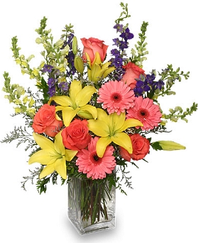 Florist «ROCKVILLE FLORIST & GIFT BASKETS», reviews and photos, 11622 Boiling Brook Pl, Rockville, MD 20852, USA