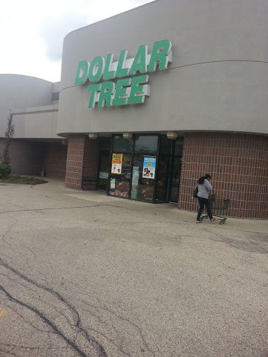 Dollar Store «Dollar Tree», reviews and photos, 620 W Liberty St b, Wauconda, IL 60084, USA