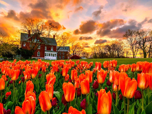 Park «Little Bay Park», reviews and photos, Cross Island Pkwy, Whitestone, NY 11357, USA