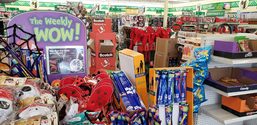 Dollar Store «Dollar Tree», reviews and photos, 1101 Old Philadelphia Rd f, Jasper, GA 30143, USA