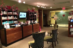 Rejuvenessence MediSpa image