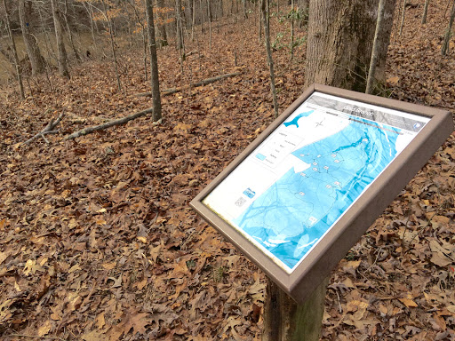 Hiking Area «Gold Branch Trail», reviews and photos, 6156 Lower Roswell Rd, Marietta, GA 30068, USA