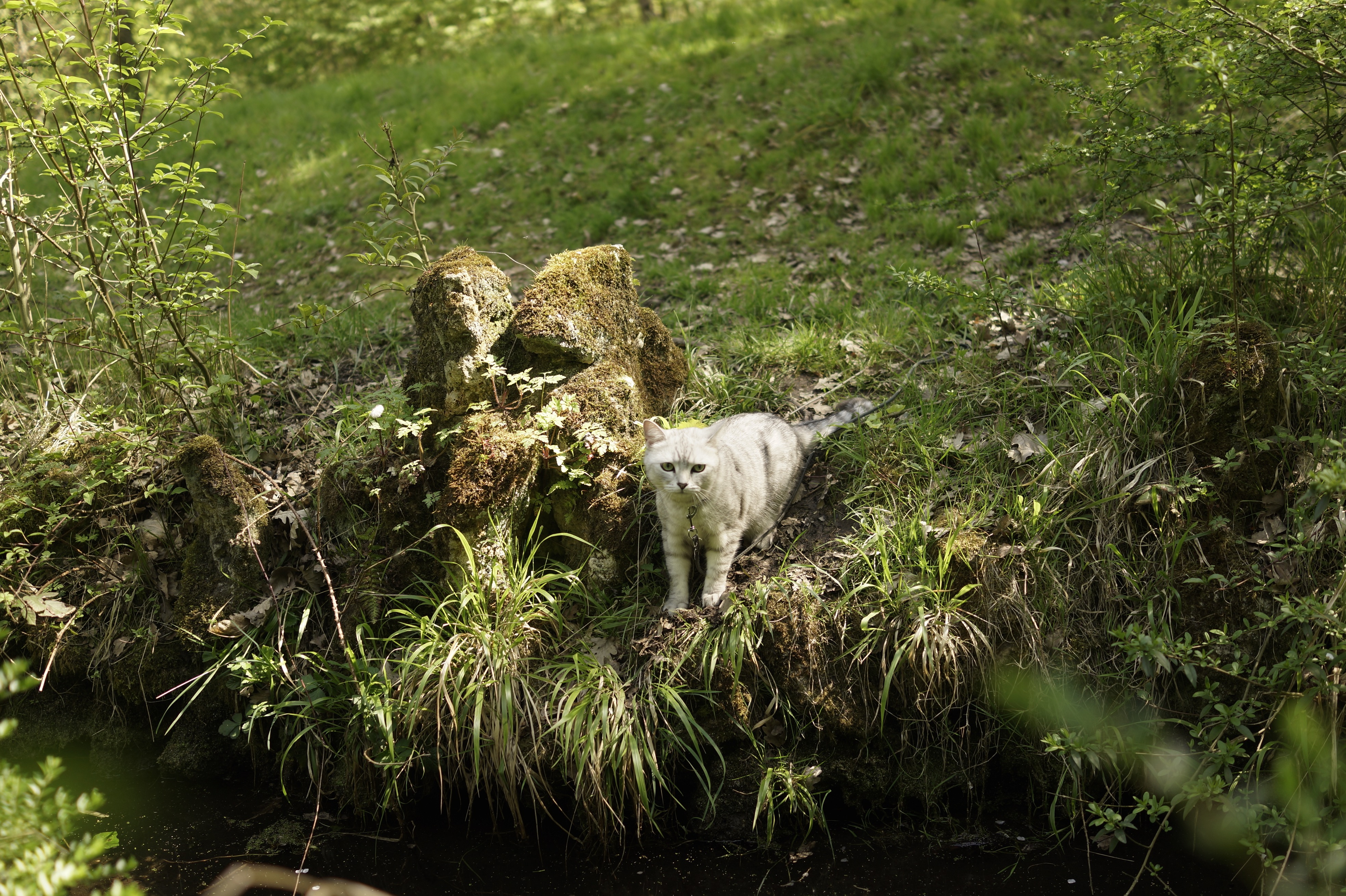 Photo n° 1 de l'avis de shuyu.a fait le 08/05/2018 à 14:19