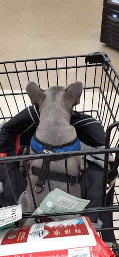 Pet Supply Store «Petco Animal Supplies», reviews and photos, 2565 NE 10th Ct, Homestead, FL 33035, USA